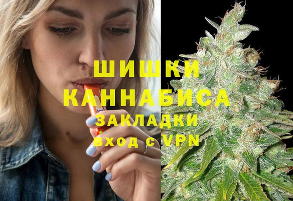 индика Баксан